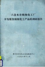 贵州省兴化化工信息服务中心编 — 六盘水市精细化工厂开发煤焦精细化工产品的调研报告