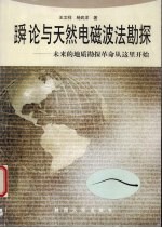 王文祥，杨武洋著 — （舜）论与天然电磁波法勘探 未来的地质勘探革命从这里开始