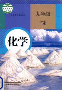 人民教育出版社，课程教材研究所，化学课程教材研究开发中心编 — 义务教育教科书 化学 九年级 下