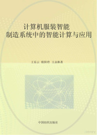 王东云 — 计算机服装智能制造系统中的智能计算与应用