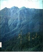 《井冈山》画册编辑组编 — 井冈山 画册