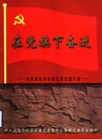 中共威海市环翠区委党史资料征集研究委员会编 — 在党旗下奋进 中共威海市环翠区党史图片集