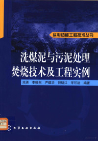 池涌等编著, 池涌[等]编著, 池涌 — 洗煤泥与污泥处理焚烧技术及工程实例