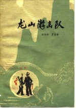 田东照，罗贤保著 — 龙山游击队