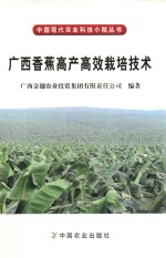 广西金穗农业投资集团有限责任公司编著 — 广西香蕉高产高效栽培技术