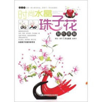 Adobe Acrobat Pro 9.0.0, 吴泽兰编 — 时尚水晶珠子花制作图解