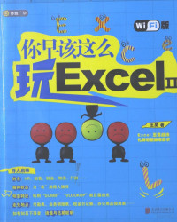 伍昊著 — 你早该这么玩Excel2 Wi Fi版