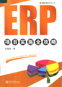 田俊国著 — ERP项目实施全攻略
