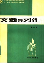 辽、吉、黑、湘四省教材协编组编 — 文选与习作