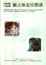 杨文光主编 — 中缅树鼩广西猕猴脑立体定位图谱