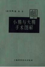 （美）C.W.梅郁著；龚谦仁译 — 小肠与大肠手术图解