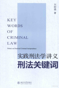 刘树德 — 实践刑法学讲义刑法关键词＝KEY WORDS OF CRIMINAL LAW