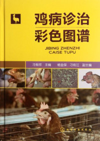 刁有祥主编；杨金保，刁有江副主编, 刁有祥主编, 刁有祥 — 鸡病诊治彩色图谱