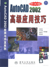 王爱民，于冬梅等编著, 王爱民 ... 等编著, 王爱民 — 中文版AutoCAD 2002高级应用技巧