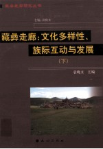 袁晓文主编 — 藏彝走廊 文化多样性、族际互动与发展 下
