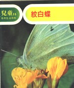 地球出版社编译小组编译 — 儿童自然生活百科 18 纹白蝶