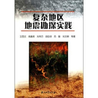 王西文，高建虎，刘伟方等著, Wang Xi Wen // Gao Jian Hu // Liu Wei Fang // Hu Zi Duo // Su Qin Deng, Wang Xiwen ... [et al.] zhu, 王西文 [and others] 著, 王西文 — 复杂地区地震勘探实践