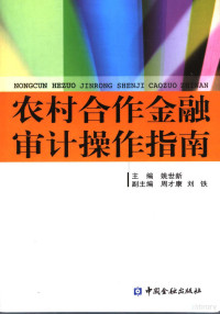 姚世新主编；周才康，刘铁副主编, 姚世新主编, 姚世新 — 农村合作金融审计操作指南