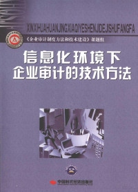 《企业审计制度方法与技术建设》课题组编著, 《企业审计制度方法和技术建设》课题组[编著, 企业审计制度方法和技术建设课题组 — 信息化环境下企业审计的技术方法