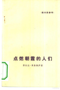 （玻利维亚）R.P.奥鲁佩萨著；苏龄译 — 点燃朝霞的人们