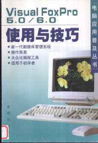 杨文安等编著, 杨文安等编著, 杨文安 — Visual FoxPro 5.0/6.0使用与技巧