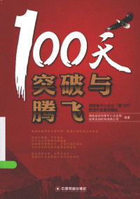 黄东红主编, 湖南省经信委中小企业局, 效果咨询机构湖南公司编著, 黄东红, 湖南省经信委, 效果咨询机构 — 100天突破与腾飞