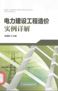 张国栋主编, 张国栋主编, 张国栋 — 电力建设工程造价实例详解