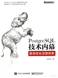 张树杰 — postgreSQL 技术内幕：查询优化深度探索