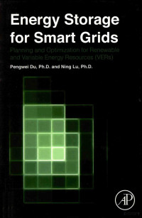 ELSEVIER AP — ENERGY STORAGE FOR SMART GRIDS PLANNING AND OPERATION FOR RENEWABLE AND VARIABLE ENERGY RESOURCES (VERS),PENGWEI DU,NING LU