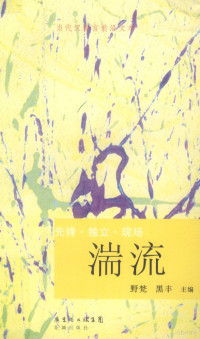 野梵，黑丰主编, Yefan, Heifeng zhu bian, 野梵, 黑丰主编, 野梵, 黑丰 — 湍流 当代汉语言前沿文本