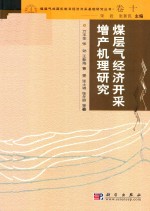 万玉金，张劲，王新海，曹雯等著 — 煤层气成机制及经济开采基础研究丛书 典藏版 卷10 煤层气经济开采增产机理研究