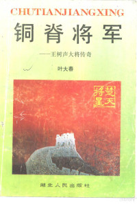 叶大春著, 叶大春[著, 叶大春, 葉大春 — 铜脊将军 王树声大将传奇