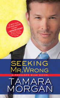 Morgan Tamara — Seeking Mr. Wrong