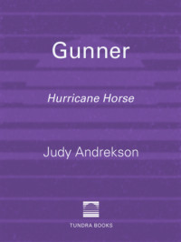 Andrekson Judy — Gunner: Hurricane Horse