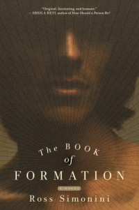 Simonini Ross — The Book of Formation