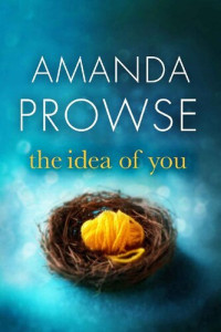 Amanda Prowse — The Idea of You