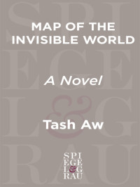 Aw Tash — Map of the Invisible World, A Novel