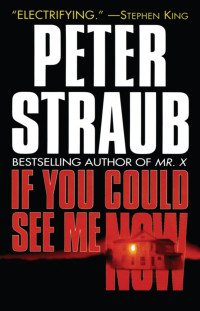 Straub Peter — If You See Me Now