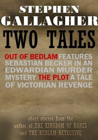 Gallagher Stephen — Out of Bedlam