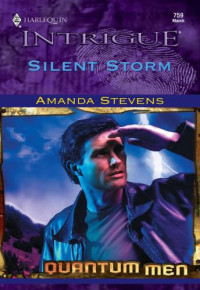 Stevens Amanda — Silent Storm