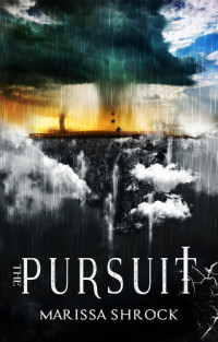 Marissa Shrock — The Pursuit