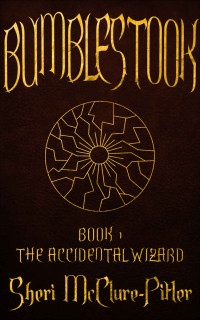 McClure-Pitler, Sheri — The Accidental Wizard