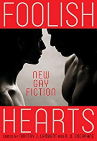 Timothy Lambert, R.D. Cochrane — Foolish Hearts: New Gay Fiction