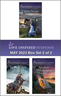 Dana R. Lynn; Virginia Vaughan; Kathleen Tailer — Love Inspired Suspense May 2023--Box Set 2 of 2