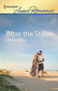 Knupp Amy — After the Storm