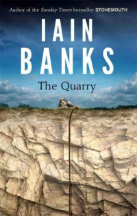 Banks Iain — The Quarry