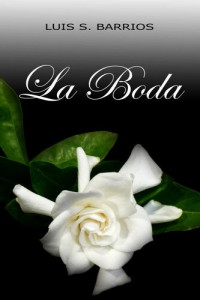 Luis S. Barrios — La boda