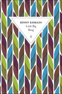 Barbash Benny — Little big bang
