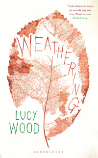 Wood Lucy — Weathering