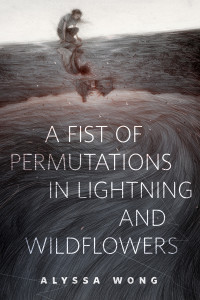 Wong Alyssa — A Fist of Permutations in Lightning and Wildflowers